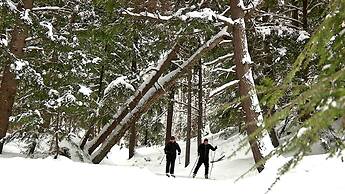 Pictured Rocks Inn & Suites