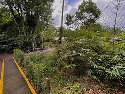 Los Amigos Jungle Hotel Tortuguero