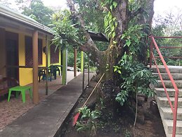 Los Amigos Jungle Hotel Tortuguero