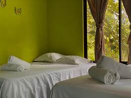 Los Amigos Jungle Hotel Tortuguero