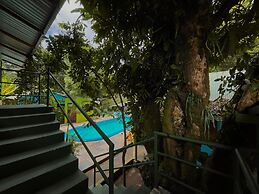 Los Amigos Jungle Hotel Tortuguero