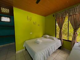 Los Amigos Jungle Hotel Tortuguero