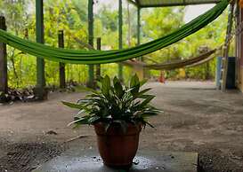 Los Amigos Jungle Hotel Tortuguero