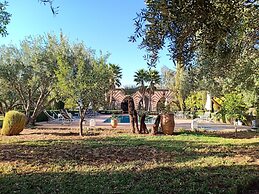 Marrakech African Queen