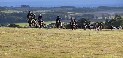 The Wensleydale Hotel
