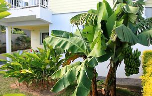 L'Oasis de Terre Rouge