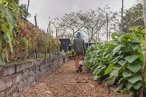 TreeCasa Hotel & Resort