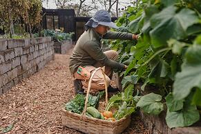 TreeCasa Hotel & Resort