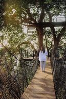 TreeCasa Hotel & Resort