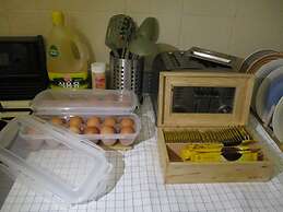 Dustin Guesthouse - Hostel