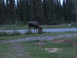 Denali Tri-Valley Cabins