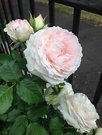 Apartments On The Park