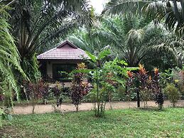 Khao Sok Palm Garden Resort