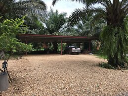 Khao Sok Palm Garden Resort