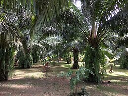 Khao Sok Palm Garden Resort