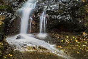 Art's Riverview Lodge