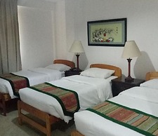 METRO VIGAN INN