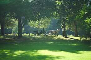 Lovely Apartment in Baden-Baden