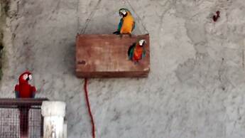 Resort Mision del Mar