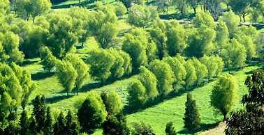 Hotel Termales El Batán