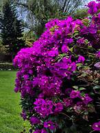 Hotel Termales El Batán