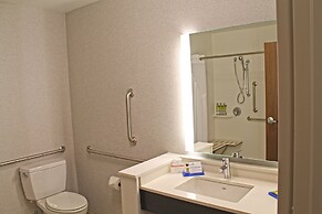 Holiday Inn Express & Suites St. Louis South - I-55 by IHG