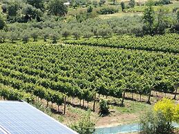 Angelucci Agriturismo con Camere e Agri Camping