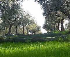 Angelucci Agriturismo con Camere e Agri Camping