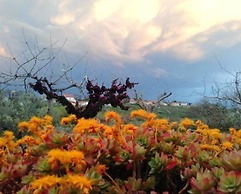 Angelucci Agriturismo con Camere e Agri Camping