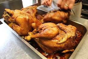 Angelucci Agriturismo con Camere e Agri Camping