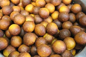 Angelucci Agriturismo con Camere e Agri Camping