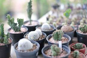 Mittapan Kanchanaburi