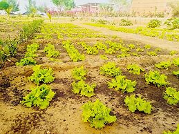 Hôtel Royal Malango