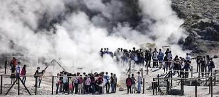 Hotel & Resort Bee Queen