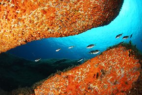 Isola dei Gabbiani - Land of Water