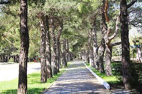 Orchestra Horizont Gelendzhik Resort