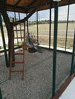 Agriturismo Fieri