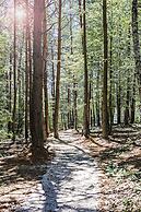 Tarcin Forest Resort & Spa Sarajevo - MGallery Collection