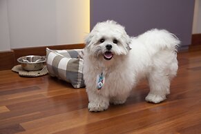 NH Curitiba The Five