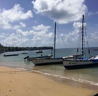 Las Palmeras Beachfront Hotel