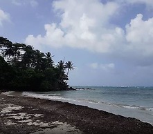 Las Palmeras Beachfront Hotel