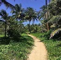 Las Palmeras Beachfront Hotel
