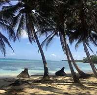 Las Palmeras Beachfront Hotel