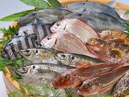 Kurobe Unazuki Onsen Yamanoha