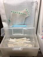 Yadocafe Chelsea's Rainbow B&B