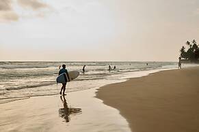 The Sandhya