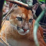 Hidden Paradise Lodge