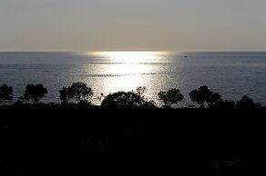 Delfinia Hotel & Bungalows