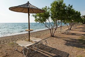 Delfinia Hotel & Bungalows