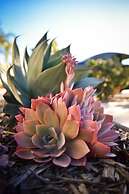 Hilton Garden Inn Santa Barbara / Goleta